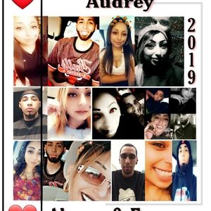 Meet your Posher, Dominick